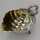 Antique Bouillabaisse Sauceboat in Silver with Moray Handle c. 1900