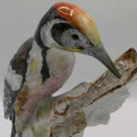 Life-size porcelain spotted woodpecker by KPM around 1900