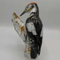 Life-size porcelain spotted woodpecker by KPM around 1900