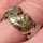 Vintage dreifarbiger Ring in Gold mit Eichenlaub Motiv