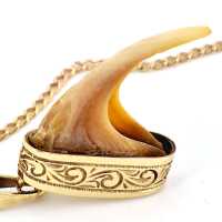 Antique pendant with tiger claw in 333 gold around 1900