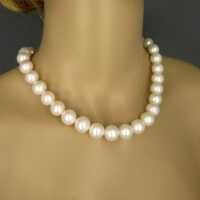 Prächtige Kette mit großen Frischwasser Perlen und Silberverschluss
