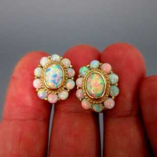 Wunderschöne Ohrringe in Gold mit zahlreichen schönen Voll Opalen