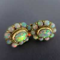 Wonderful stud earrings in gold with colorful genuine opals