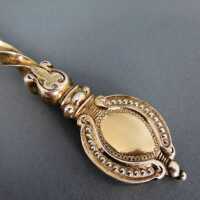 Antique late victorian dessert spoon set in silver and gold 1870 in case