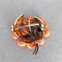 Antique brooch in gold plated silver with red coral cabochons and river pearls