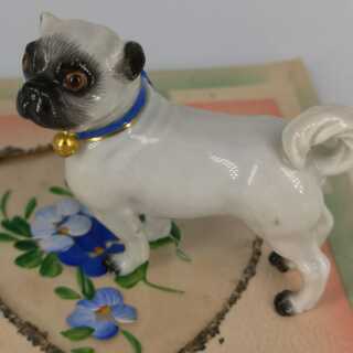 Antique Meissen Pug with Blue Collar and a Bell
