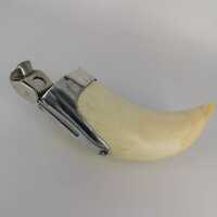 Vintage Walrus Tooth with Silver Mount as Cigar Cutter